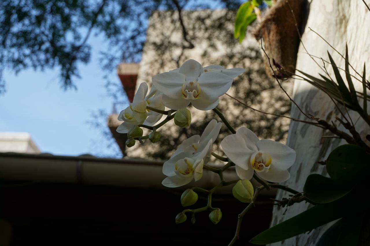 Pouso Da Garca Bed & Breakfast Cabo Frio Eksteriør bilde