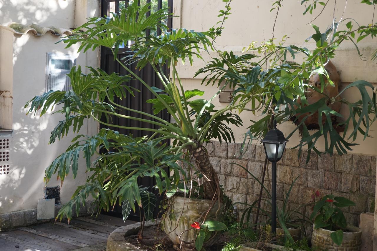 Pouso Da Garca Bed & Breakfast Cabo Frio Eksteriør bilde